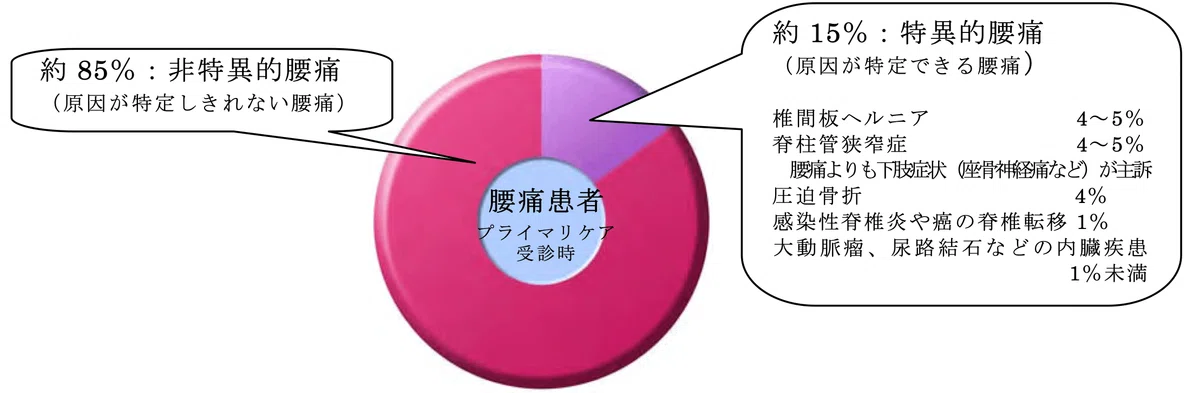 非特異的腰痛の理学療法ー基礎編ー｜理学療法士による臨床のためのnote