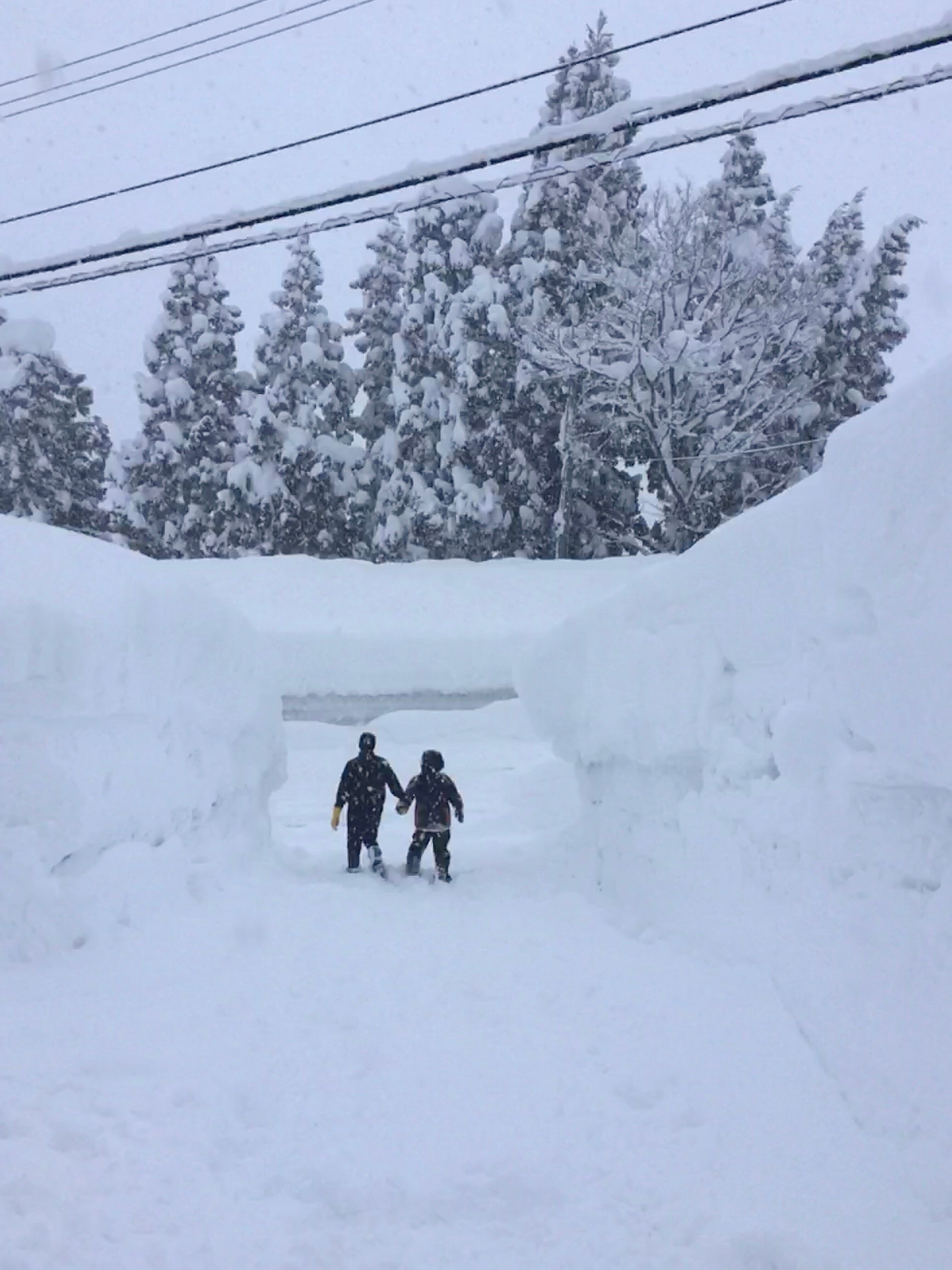 西和賀風土記(雪国文化)／西和賀町