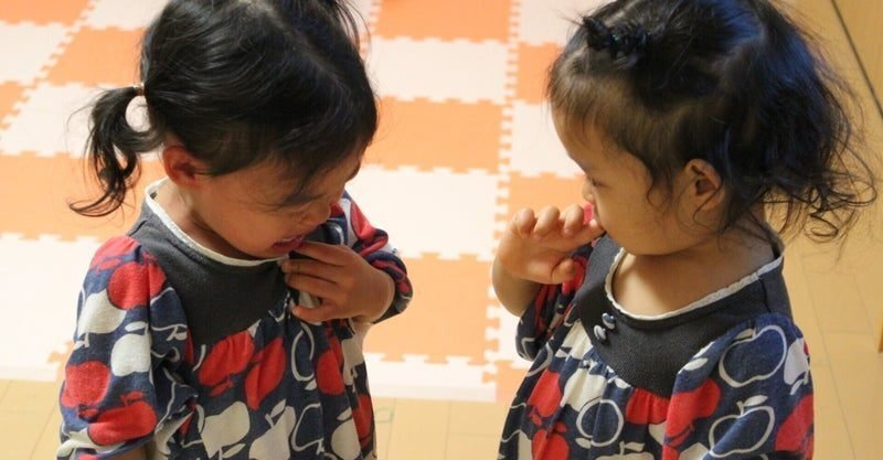 画像を拡大表示