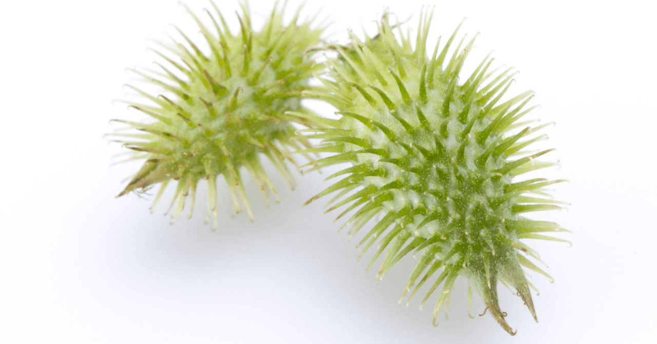 意外と知らない マジックテープの発明のキッカケとは モリト広報室 Note 意外と知らない マジックテープの発明のキッカケとは モリト広報室 Note