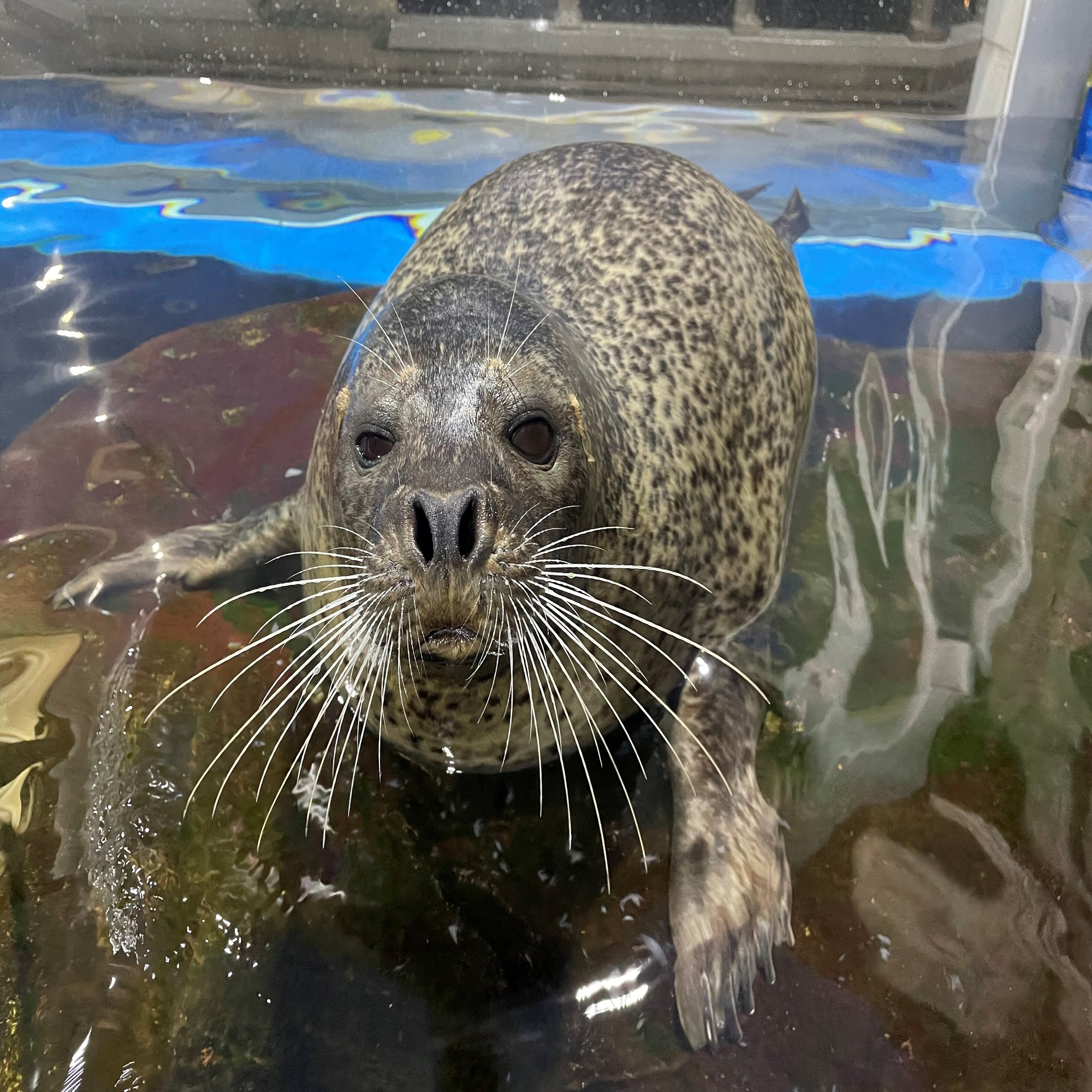 ゆうきとポーロ 仙台うみの杜水族館