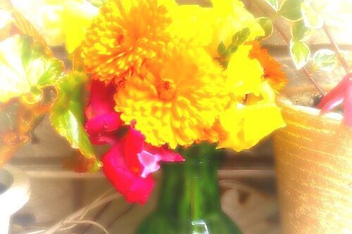 ひとりで悦に入る の新着タグ記事一覧 Note つくる つながる とどける ひとりで悦に入る の新着タグ記事一覧 Note つくる つながる とどける