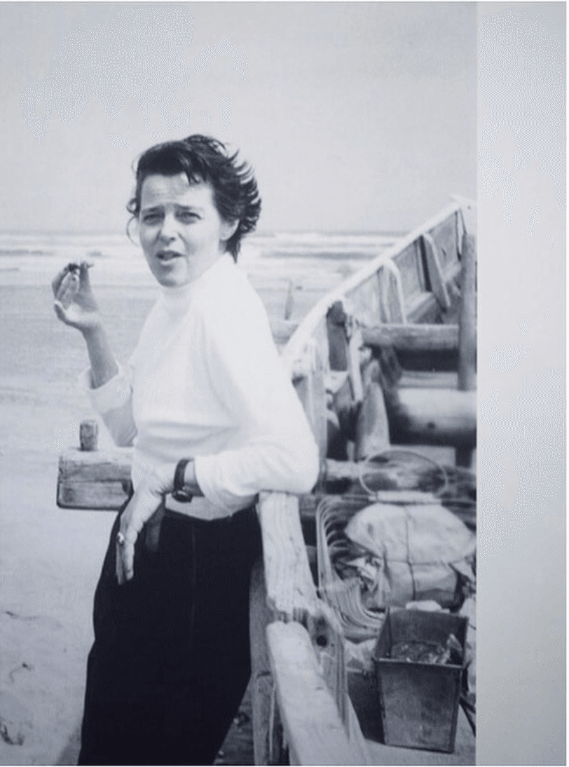 CHARLOTTE PERRIAND: INVENTING A NEW WORLD」|内藤可奈子 CHARLOTTE PERRIAND: INVENTING A NEW WORLD」|内藤可奈子