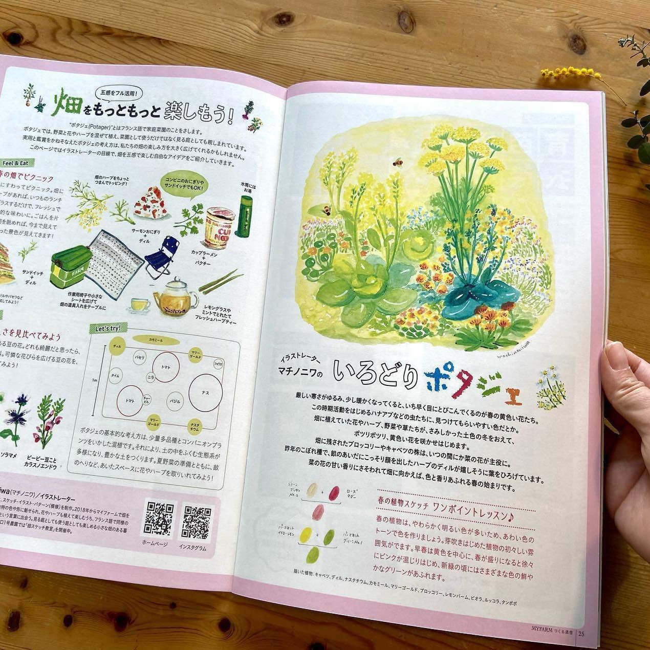 春夏秋冬 畑の色 マチノニワ イラストレーター Note