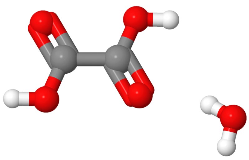 【美品】有機化合物辞典 有機化合物辞典 (KS化学専門書) | 有機合成化学協会 |本 | 通販