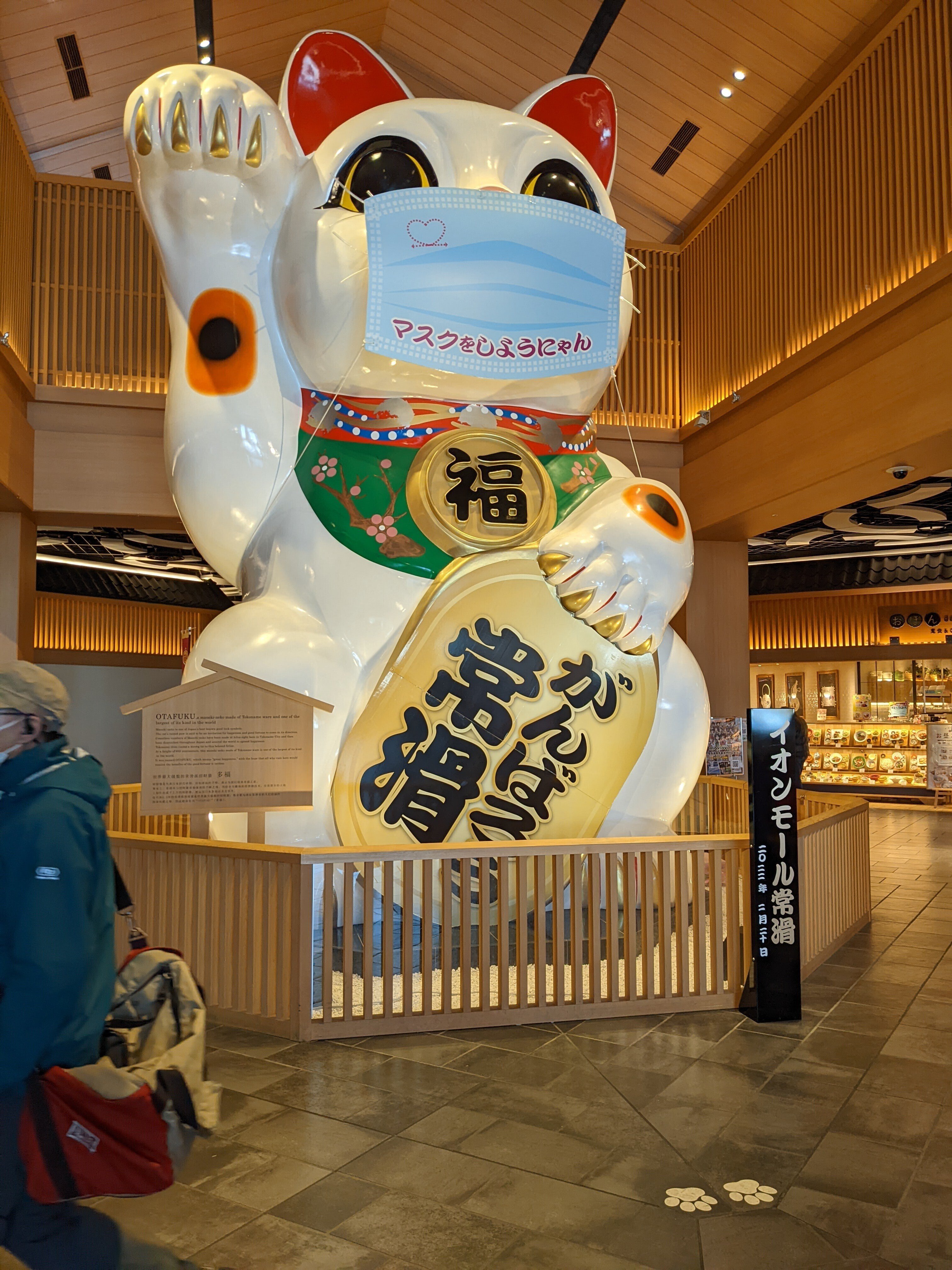 アガベ・チタノタ・山亀の中株を手に入れました！かっこいい｜うめすけ