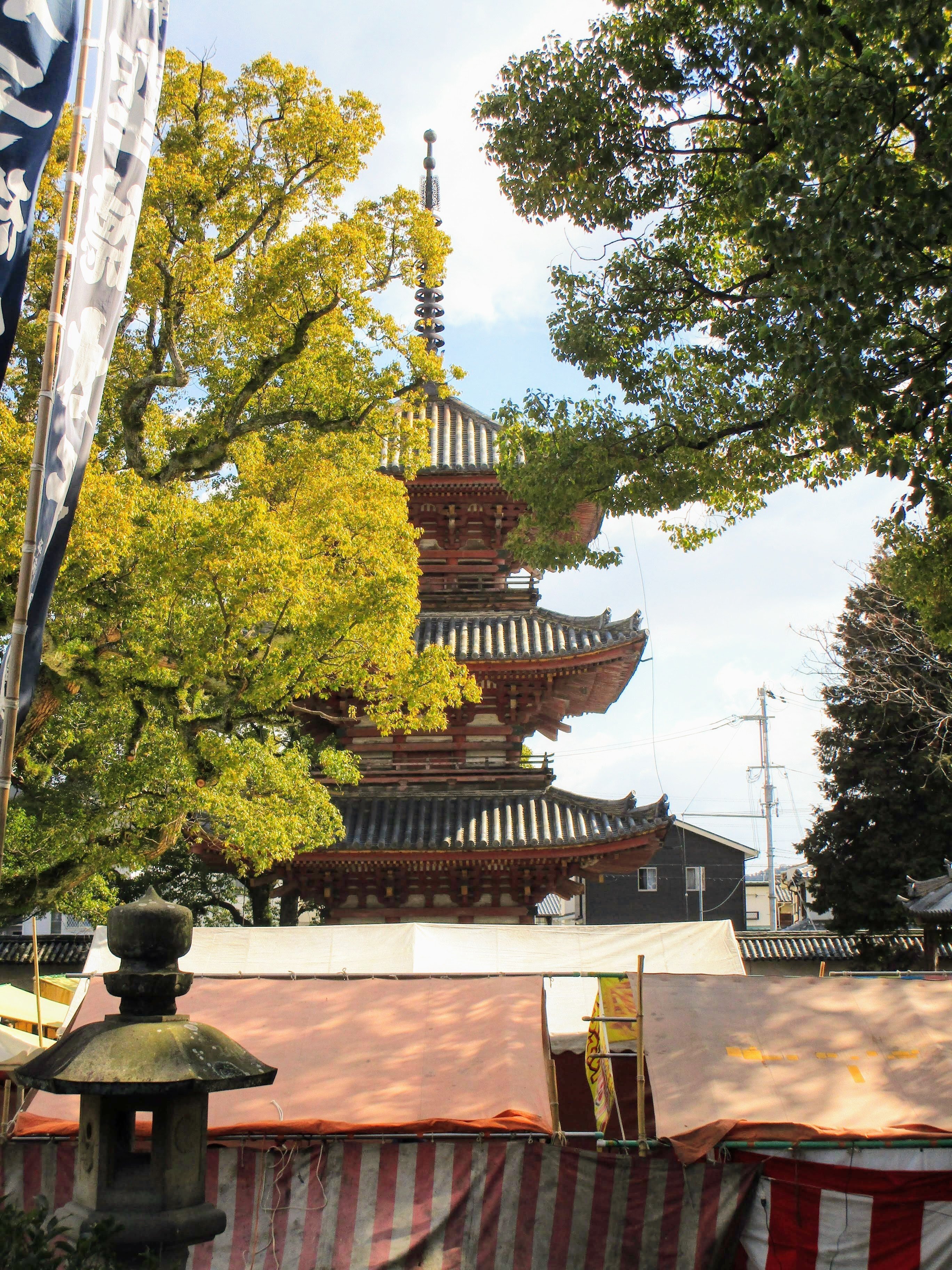 日本の古寺美術 当麻寺 東寺 飛鳥の寺 斑鳩の寺 法華寺 浄瑠璃寺