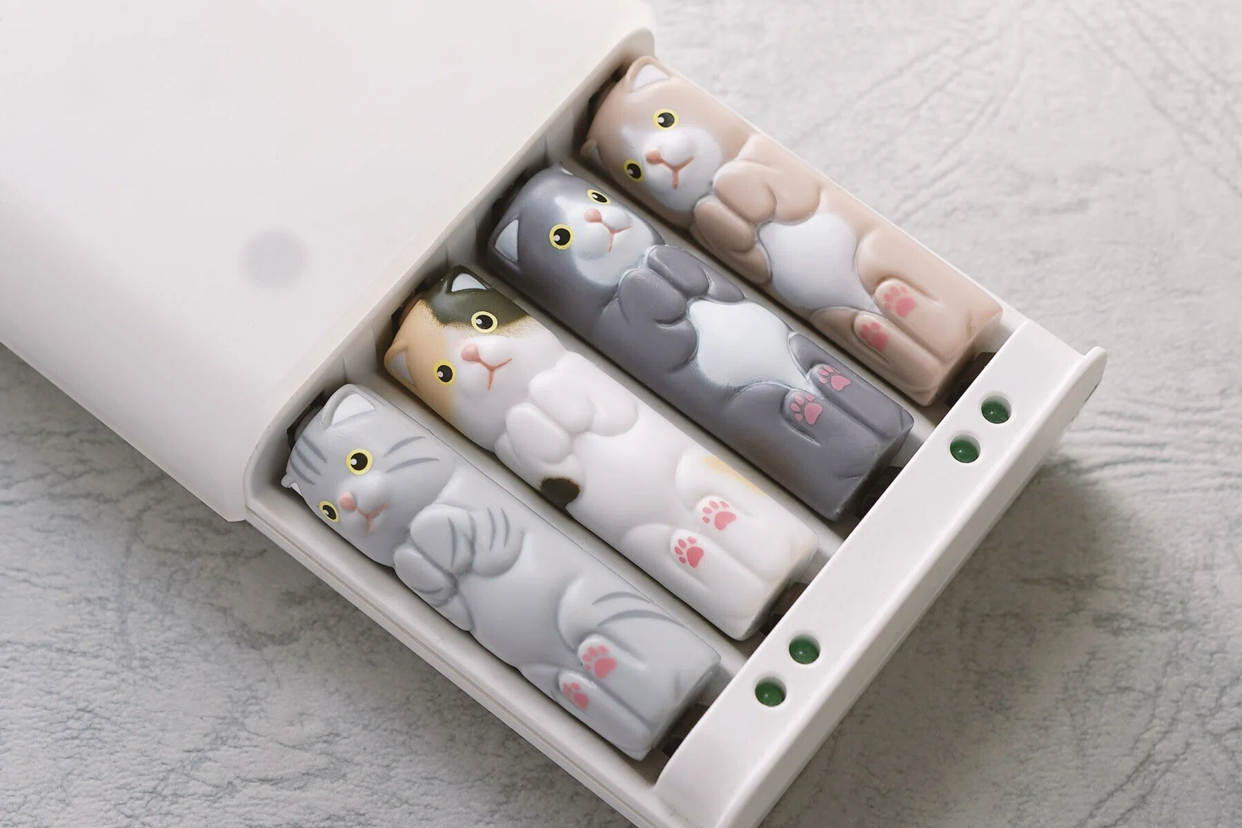 Is Hide-and-Seek Their Specialty? Living with AA Nyan-ike｜虚匠
