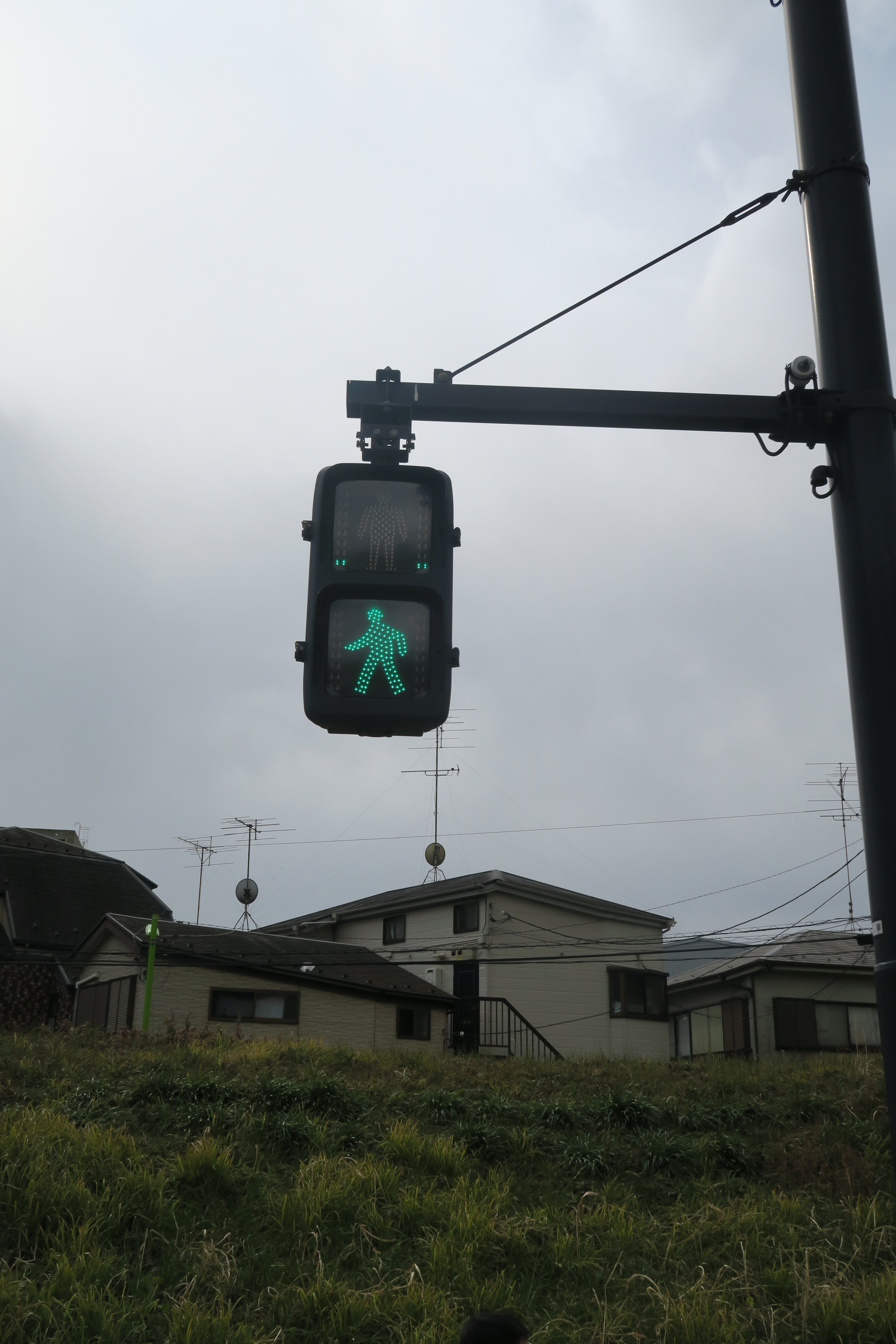 二子玉川の信号機｜藤倉