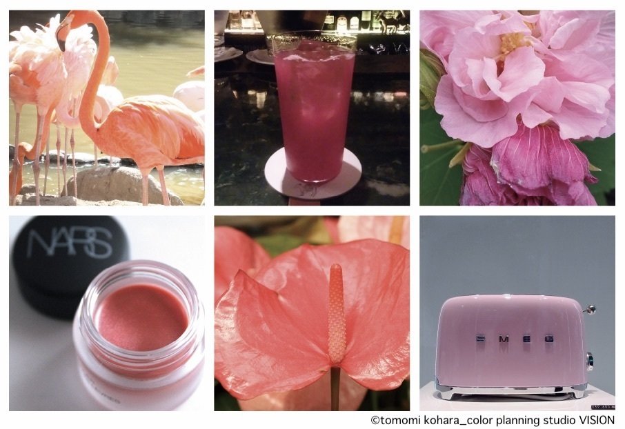 42 色の好みと性格は果たして関係があるのか 2 ピンク 紫 Tomomi Kohara Colorfulvision 色彩研究室 Note