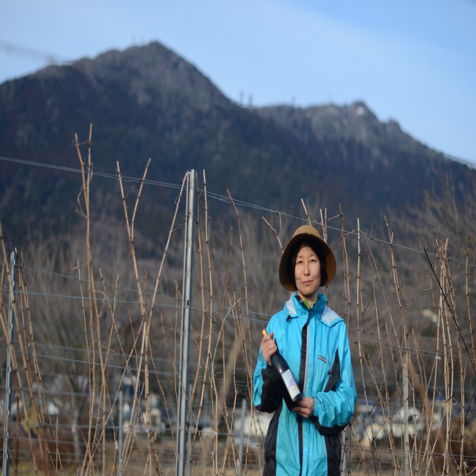 つくばワイン こうして私たちは つくばに引き寄せられた 茨城県公式 シェフと茨城