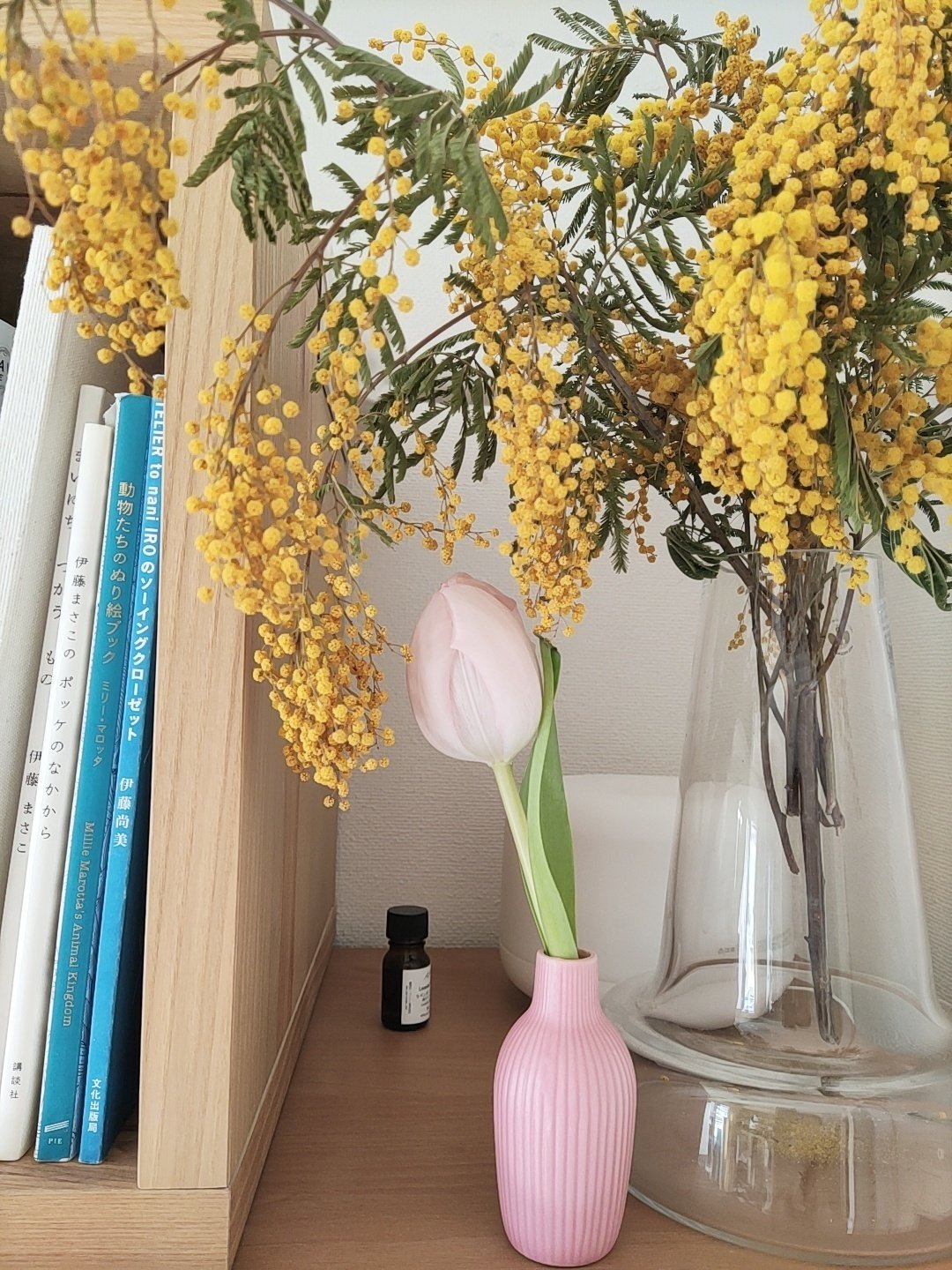 ミモザでお部屋を彩ろう Sar Note