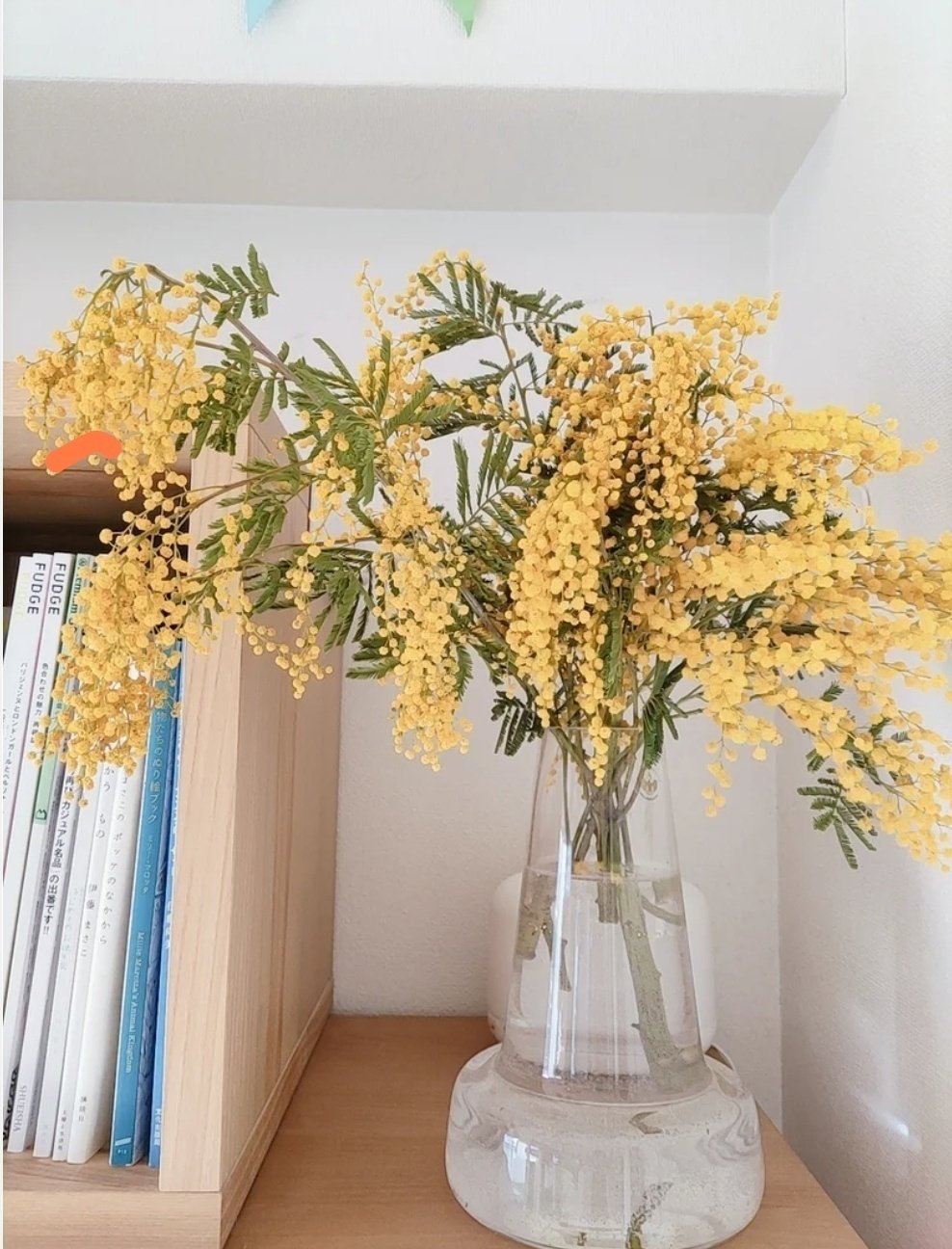 ミモザでお部屋を彩ろう Sar Note