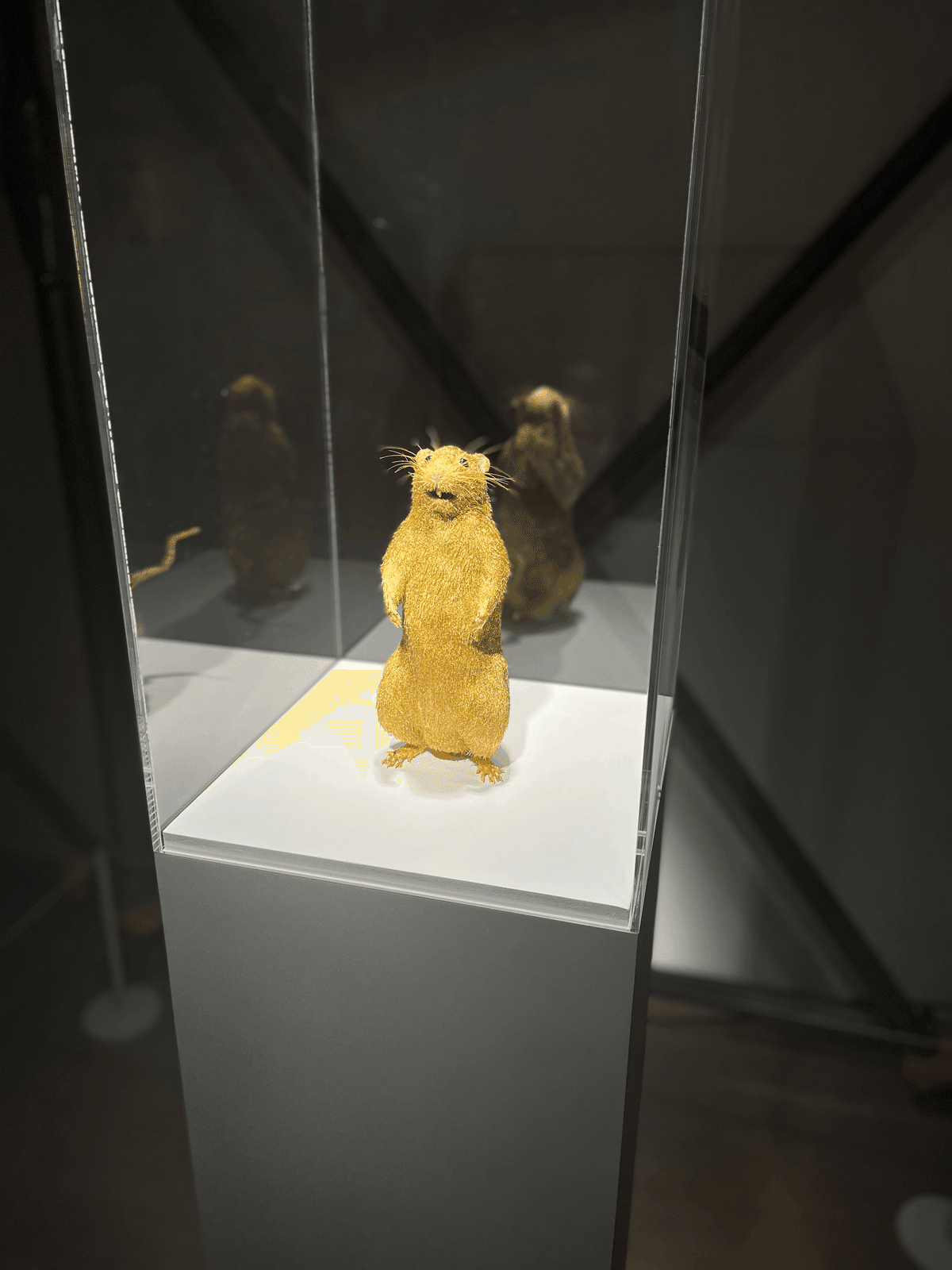 間-】展示会レポート Chim↑Pom展：ハッピースプリング｜-間-