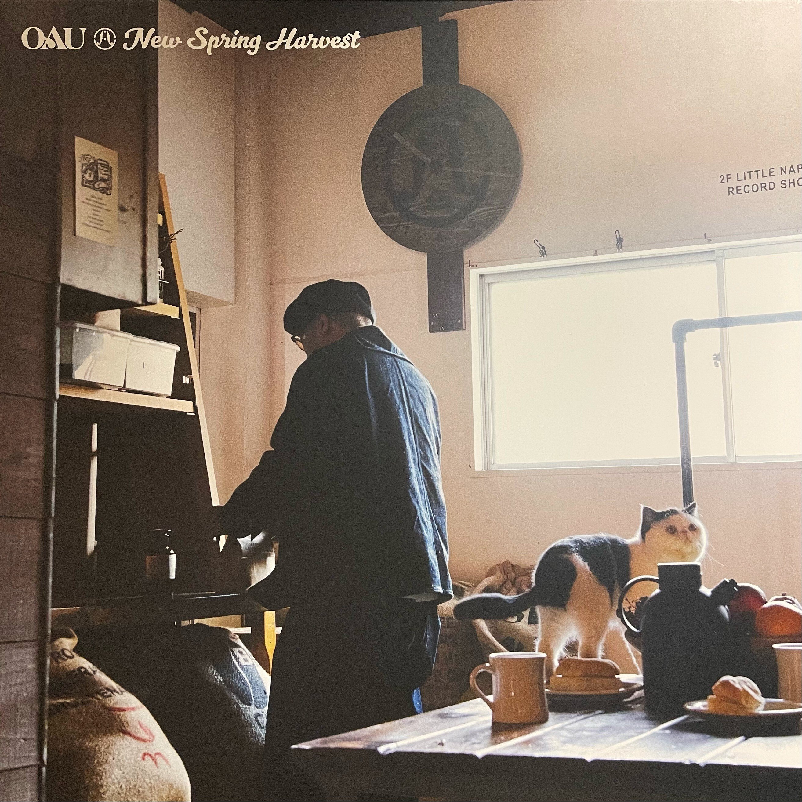 Spring the last goodbye レコード Spring the last goodbye レコード SPRING / THE LAST GOODBYE