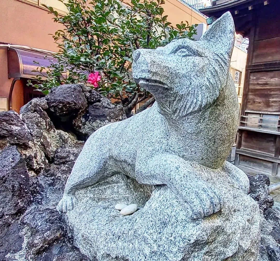 能面 狐 犬 能面 狐 犬 - メルカリ