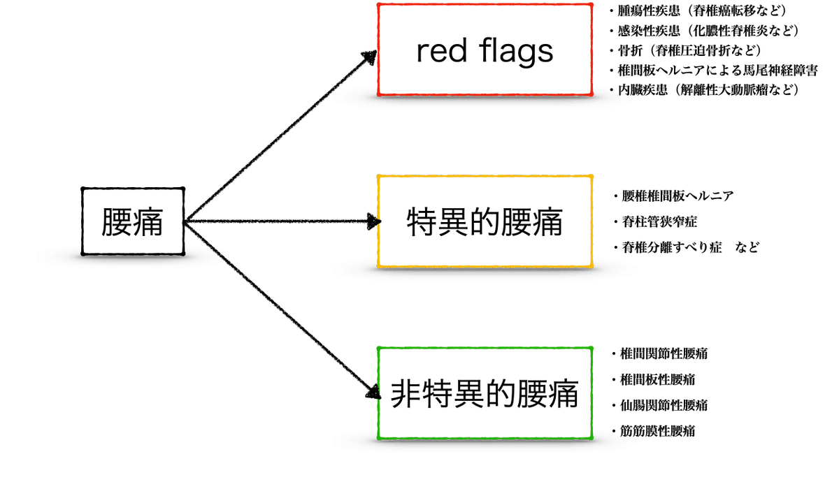 最終価格【希少品】非特異的腰痛症の運動療法につなげる基礎理学療法 DVD 期間限定SALE【希少品】非特異的腰痛症の運動療法につなげる基礎