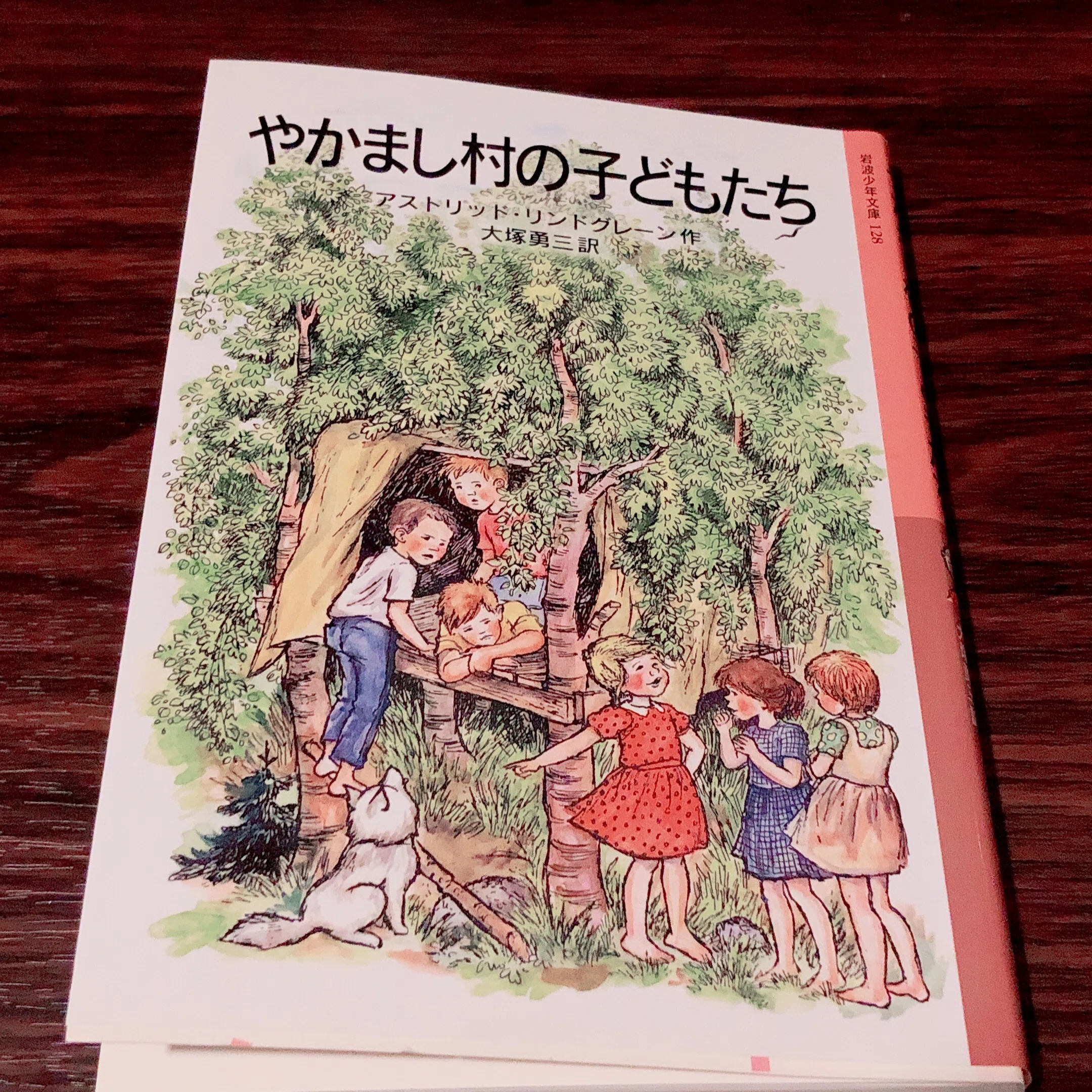 わたしの名は、リーサ。」｜ちょこ＠本棚本📚👘