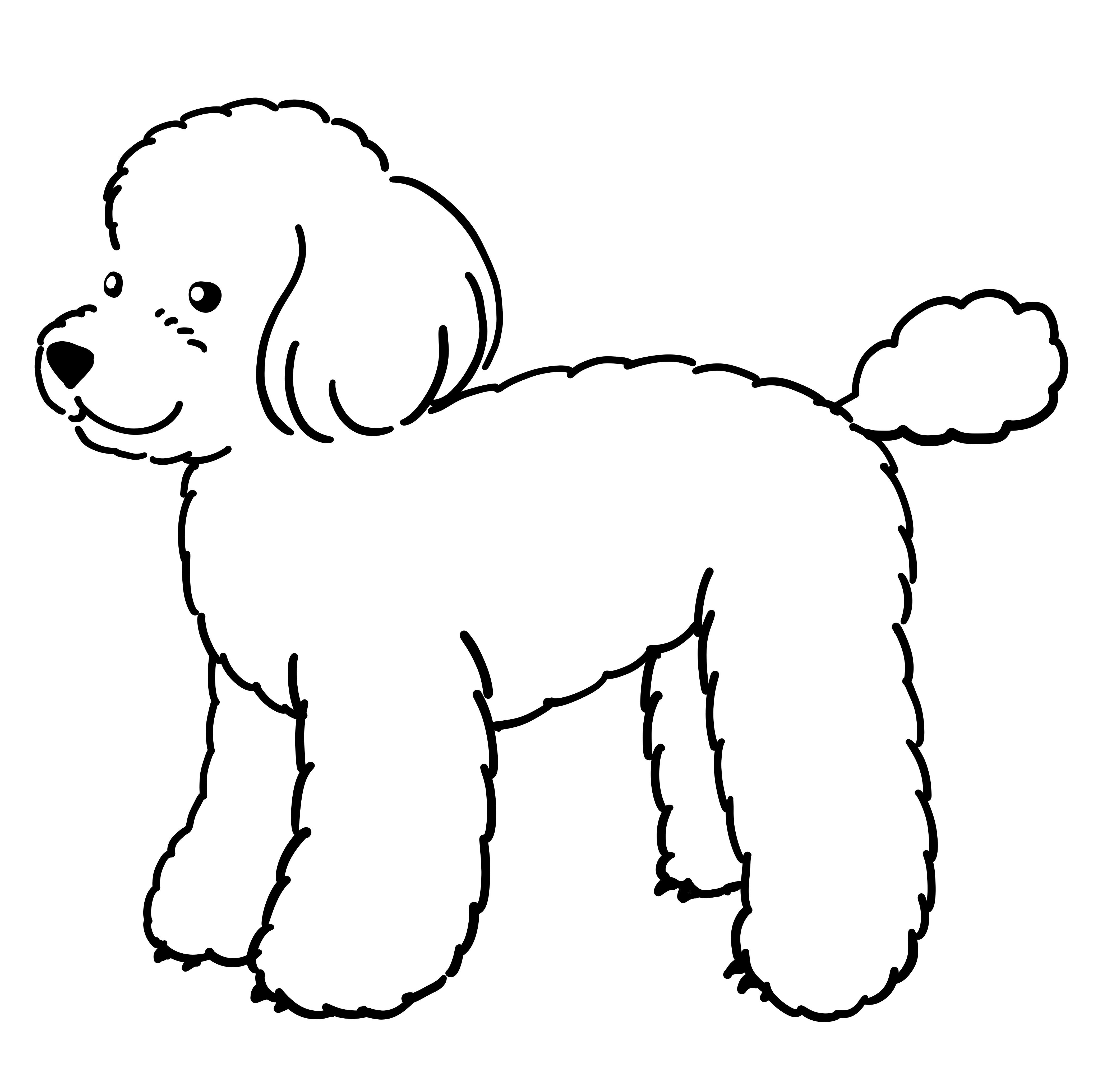 イラスト トイプードル２ 修正しました Rmia Note