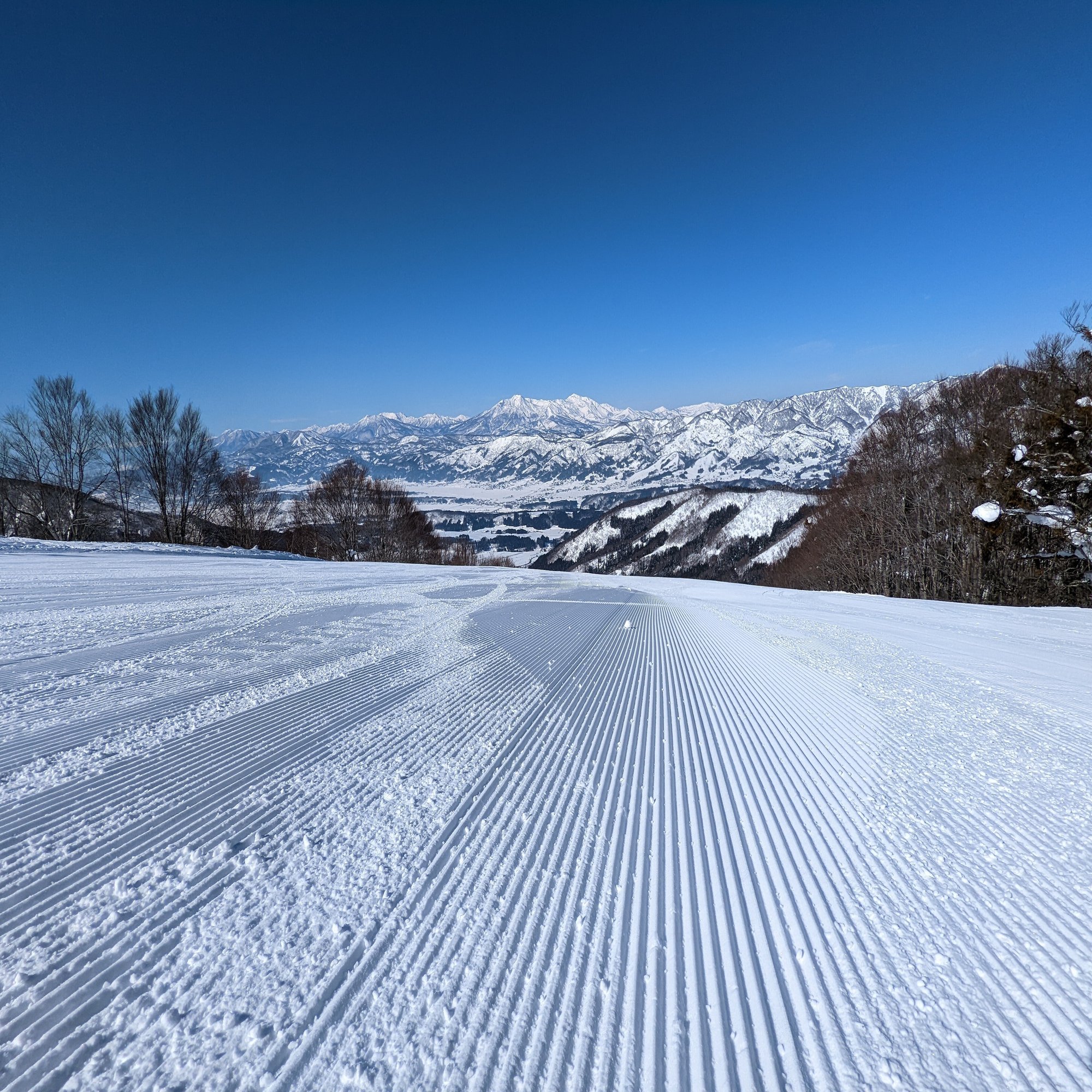 たくさん滑る 野沢温泉22 23 やん 矢野達也 Note