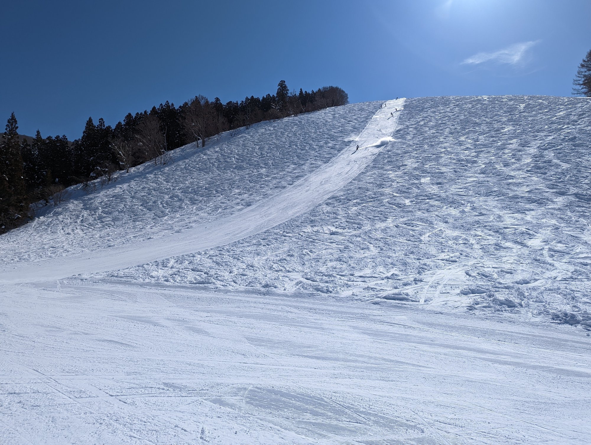 たくさん滑る 野沢温泉22 23 やん 矢野達也 Note たくさん滑る 野沢温泉22 23 やん 矢野達也 Note
