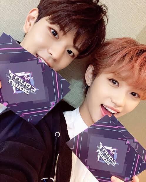 デンニャン🐤🐶(フィリックス✖️スンミン)｜はんこ。