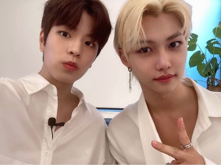 デンニャン🐤🐶(フィリックス✖️スンミン)｜はんこ。