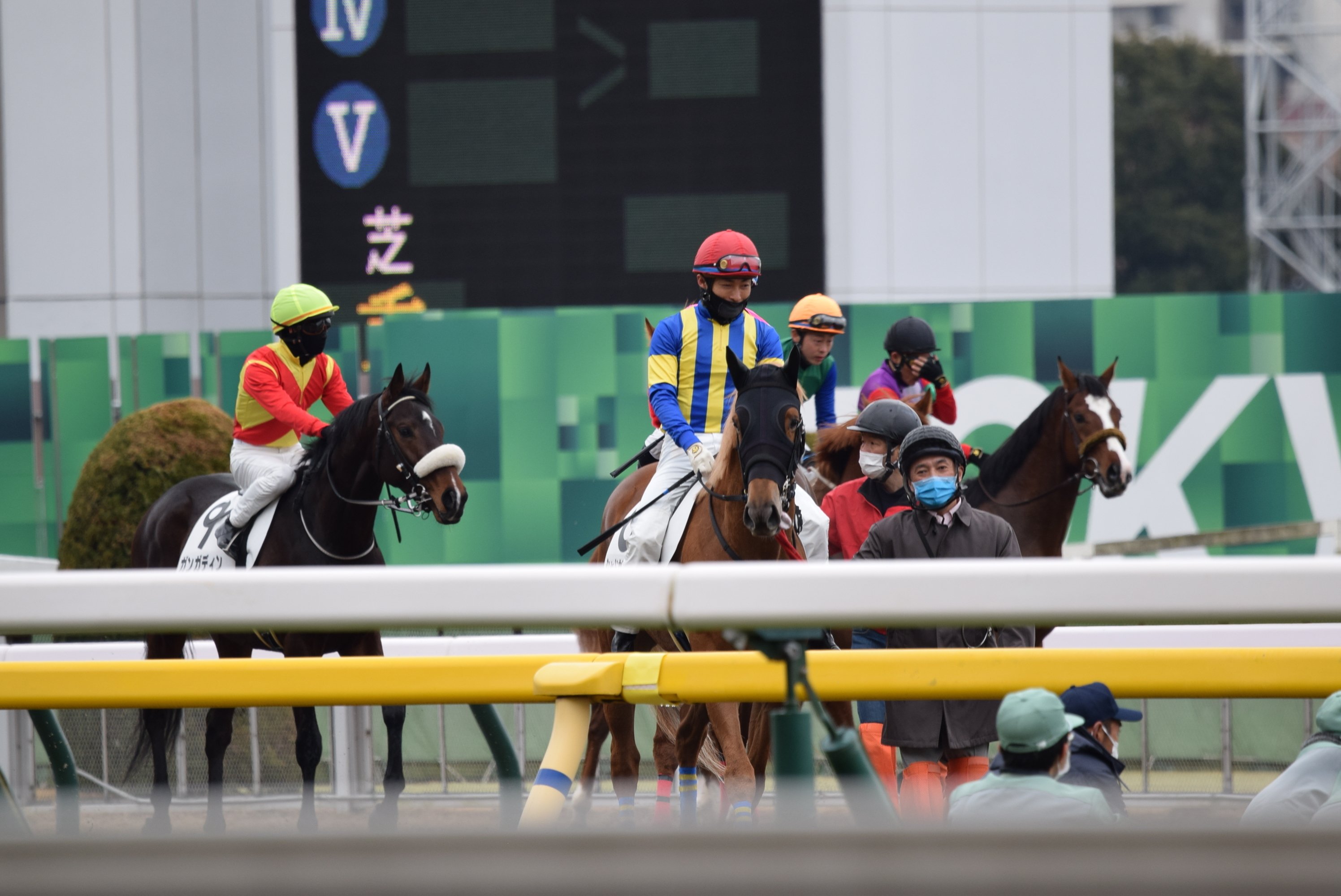 東京競馬場の風景 みんなのフォトギャラリー素材用 馳走 はせ はしる Note