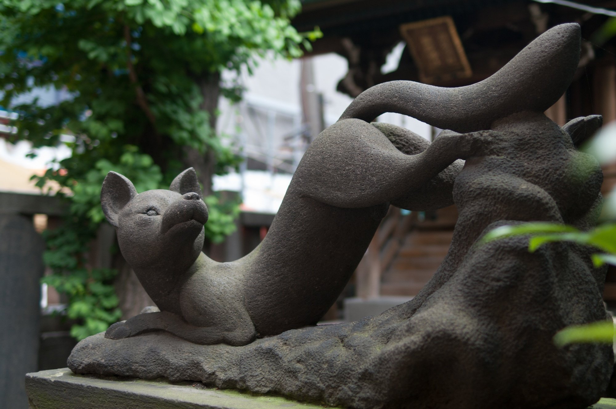 キツネ(練石製、角) 稲荷 狐 一対 お稲荷さん 石像 - 通販 - www