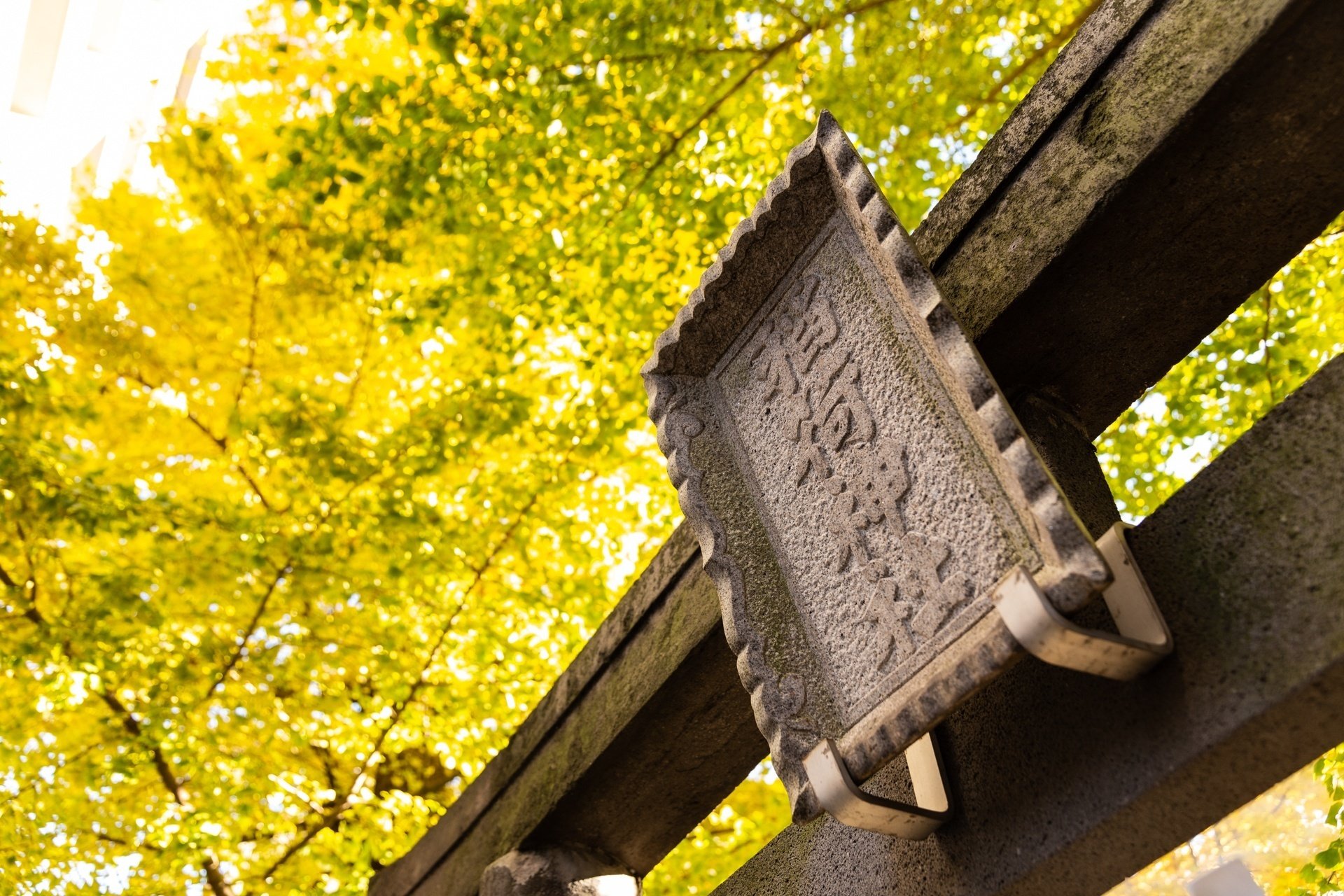 お稲荷さん＝キツネではない！？ 意外と知らないお稲荷さんの話｜小野照崎神社