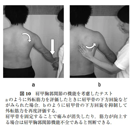 肩】肩甲上腕関節の機能評価｜整形外科リハ｜理学療法士|Tomo
