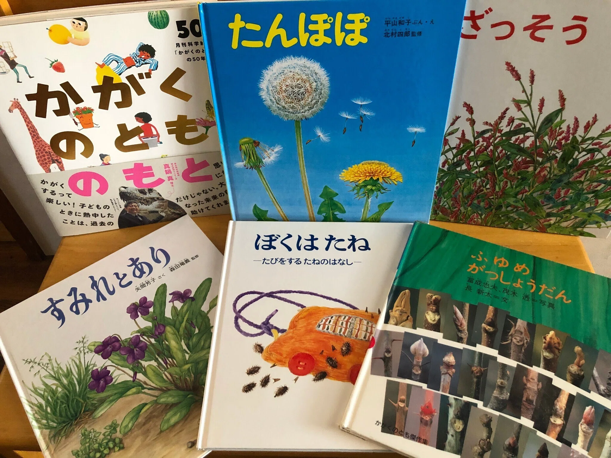 子ども時代に出合う本 #04 センス・オブ・ワンダー｜Kako