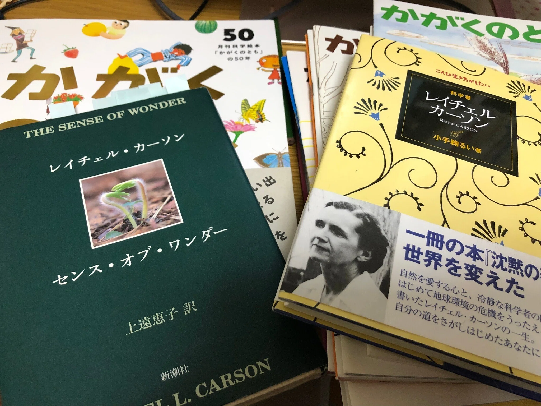 子ども時代に出合う本 #04 センス・オブ・ワンダー｜Kako