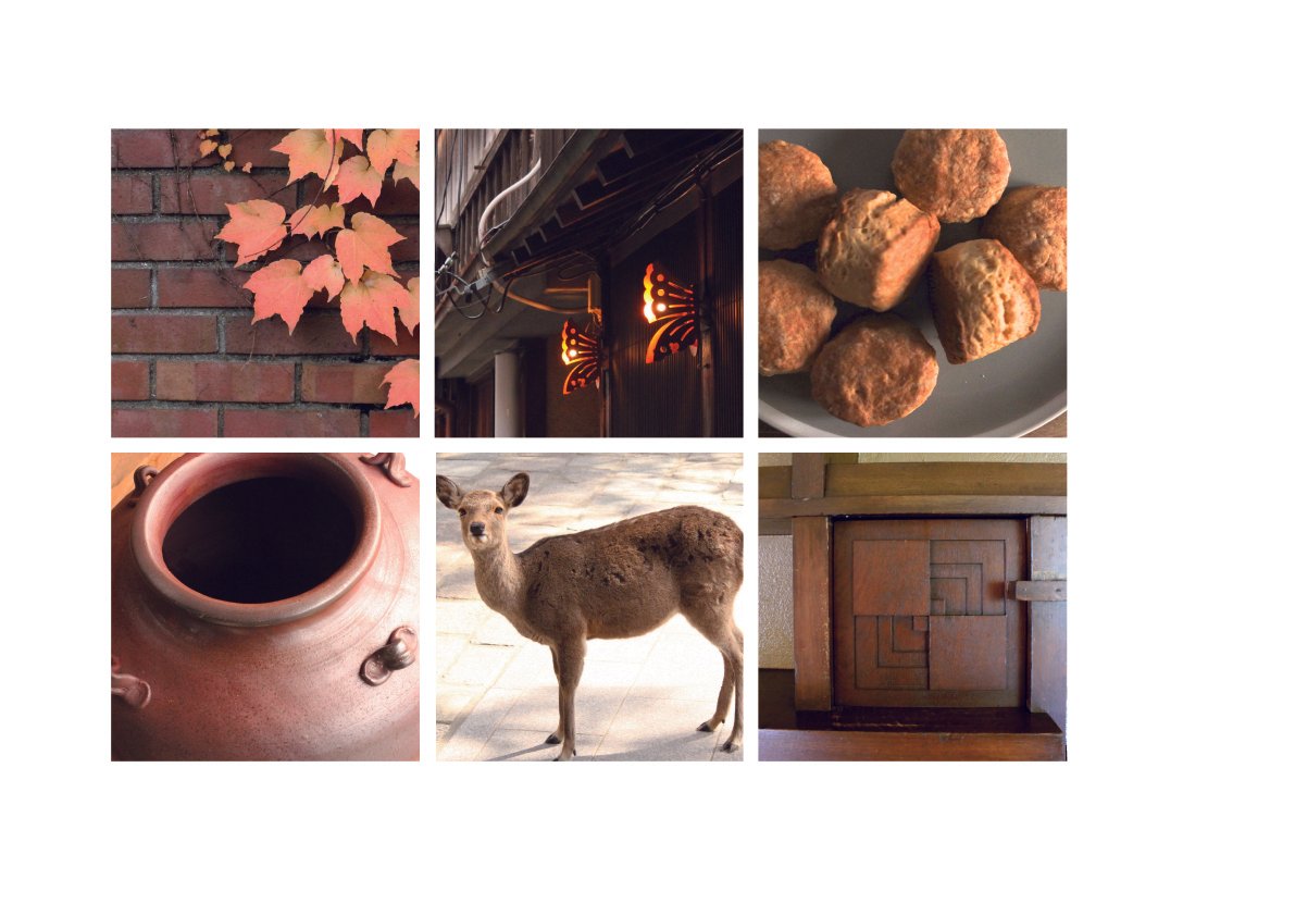 44 色の好みと性格は果たして関係があるのか 4 茶 白 グレー 黒 Tomomi Kohara Colorfulvision 色彩研究室 Note