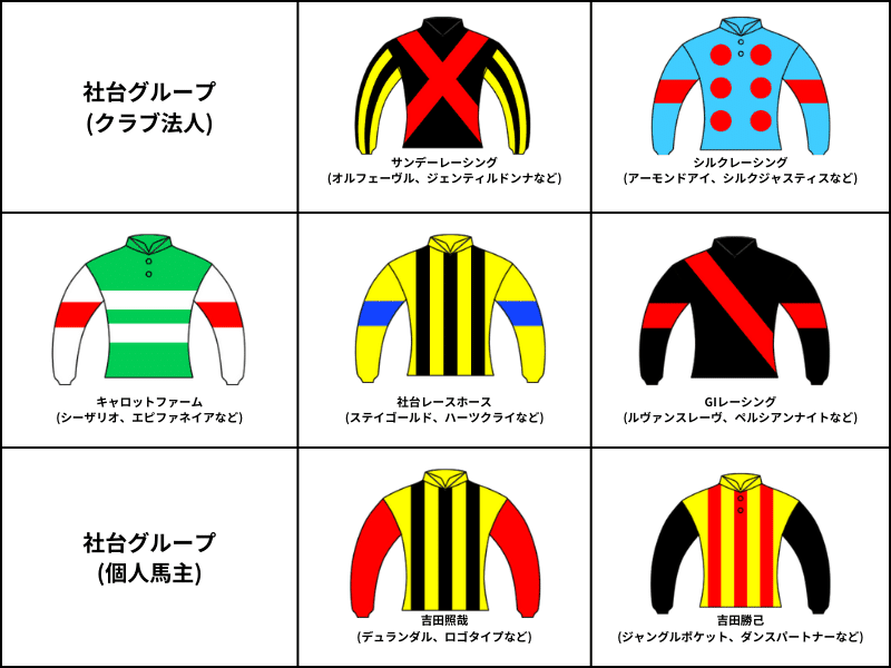 ナチュラ キャロットファーム 勝負服レプリカ - その他