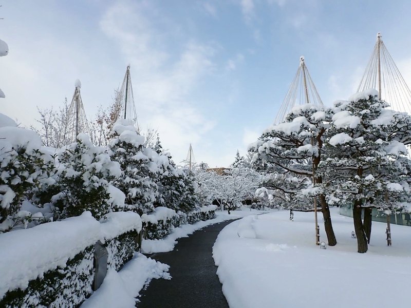 2022年2月22日の広場の雪景色