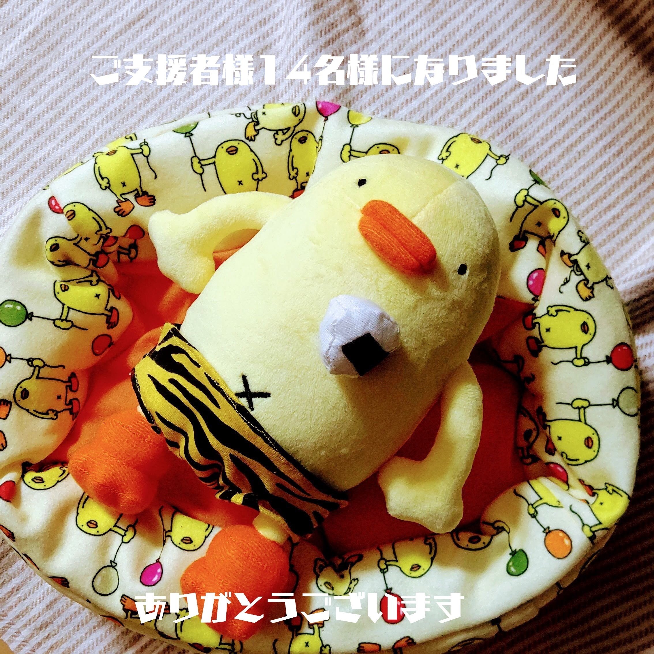 クラウドファンディング新たなご支援者様が😭 🐥今日のひよこ人間ぴよ