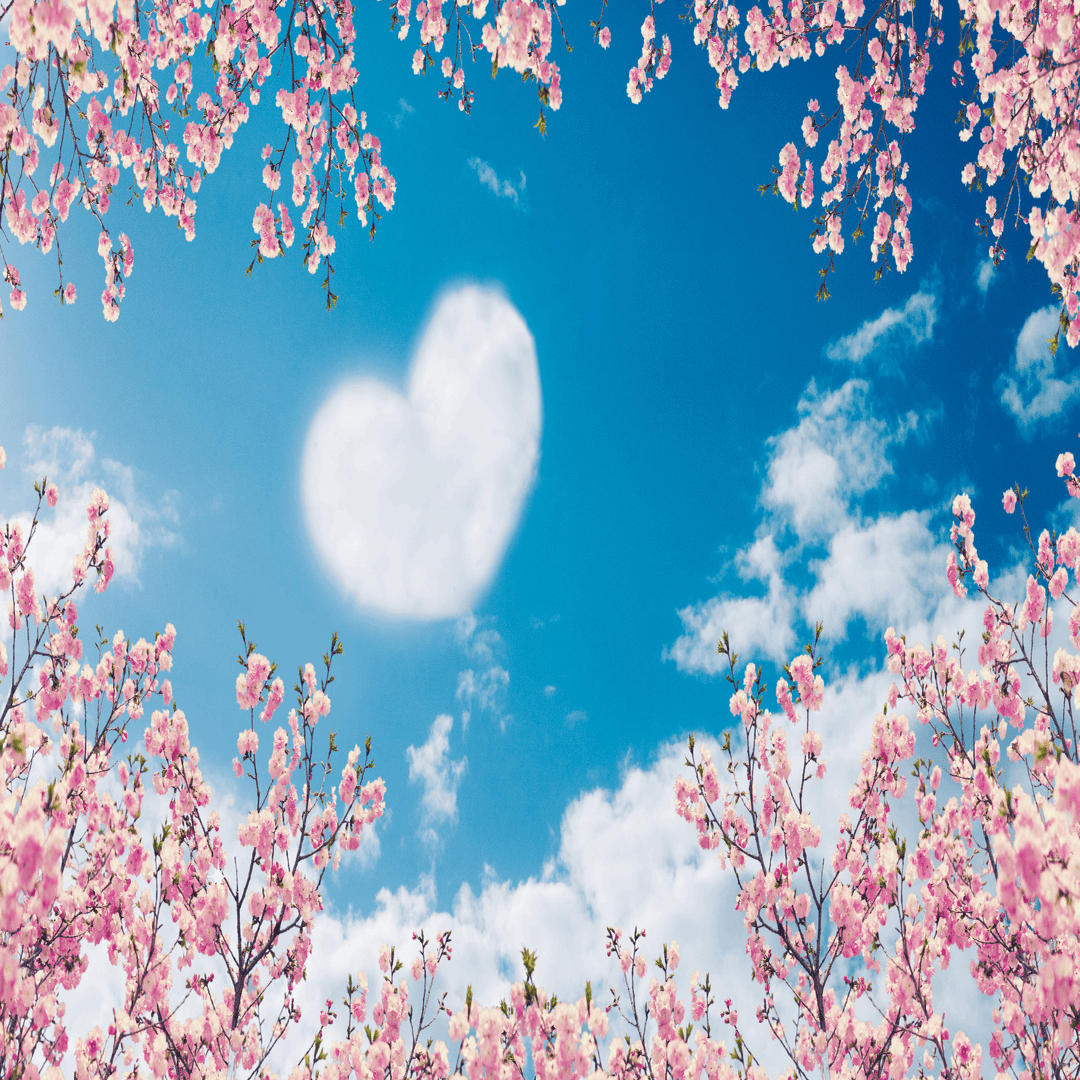 Popinプロジェクターが当たる 春だ 桜だ 自分にエールだ Canvaで壁紙デザインコンテスト Canva Japan キャンバ日本公式note Note