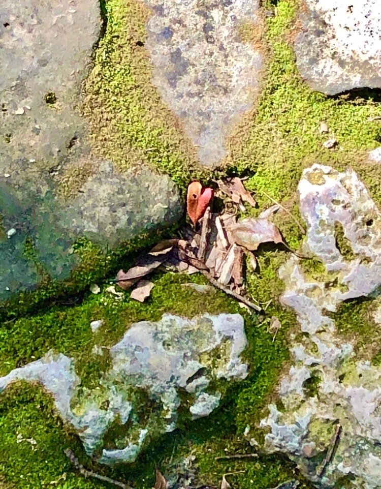 雨上がりの空に思うこと｜sane