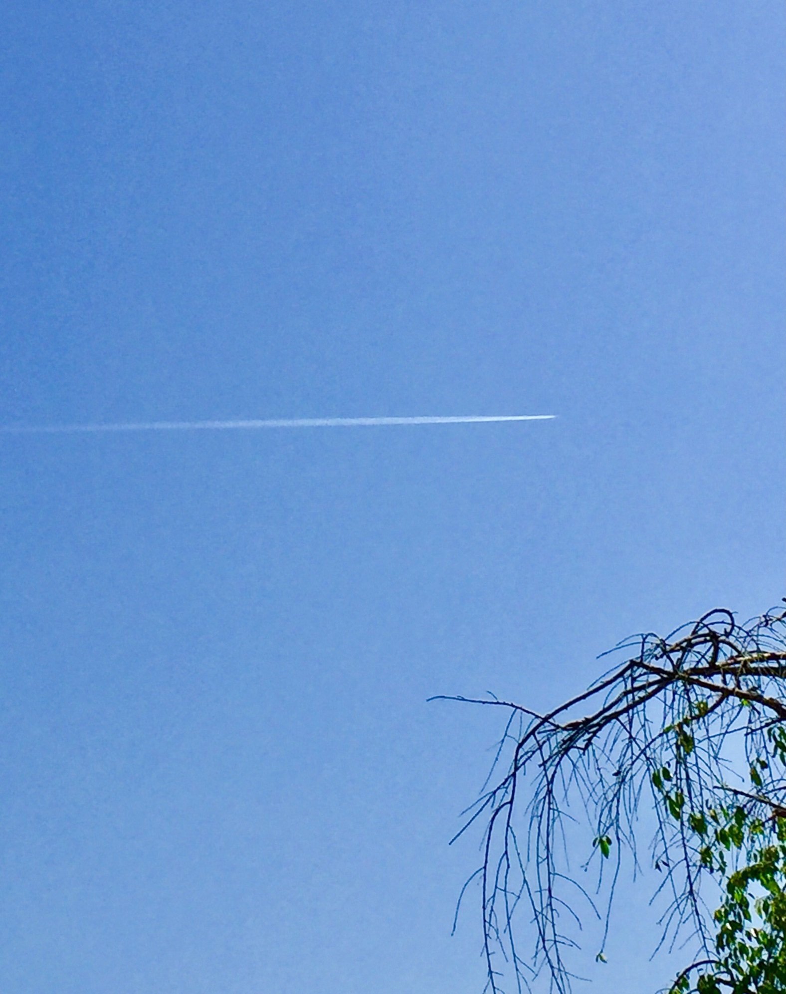 雨上がりの空に思うこと｜sane