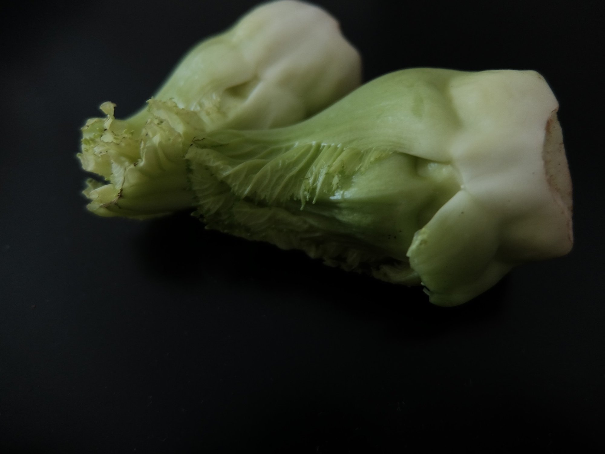 啓蟄 蕾菜とうぐいす 移ろいゆく水と花 Emmy Emi Note 啓蟄 蕾菜とうぐいす 移ろいゆく水と花 Emmy Emi Note