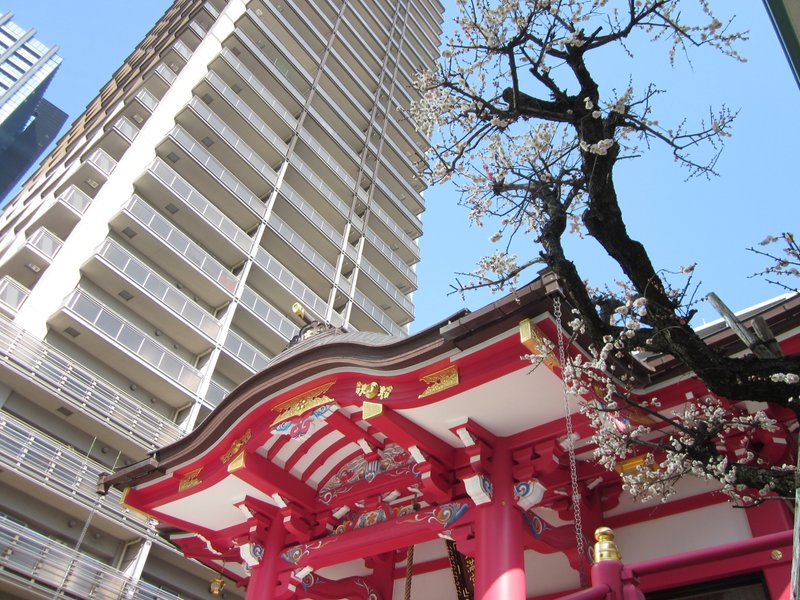 高高層ビルを臨む都会の一角にある神社です。「赤」が綺麗でした。