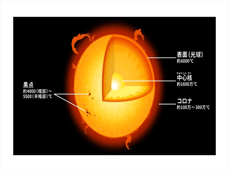 画像を拡大表示