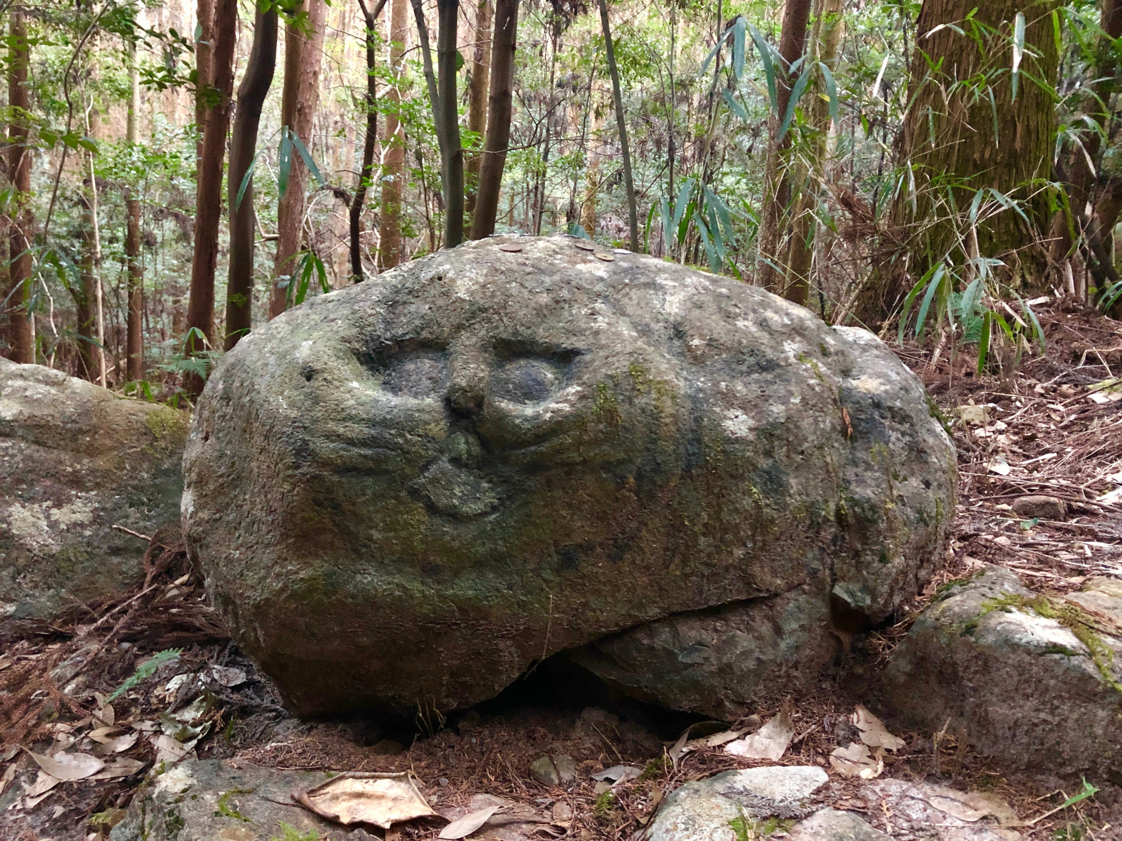 東谷山・尾張戸神社の参道にある謎の「猫石」｜kyu3