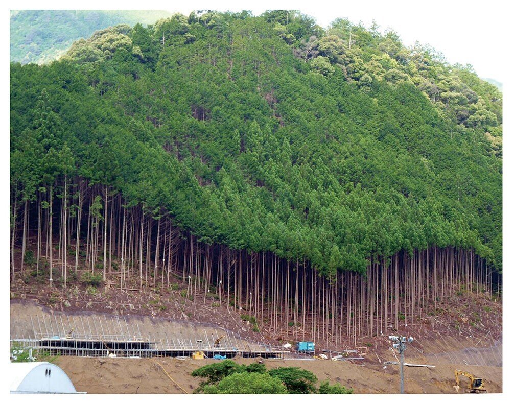 人工林の科学 森林講義編4 荒廃人工林はどうしてできるのか なぜ崩れるのか 大内正伸 Note 人工林の科学 森林講義編4 荒廃人工林はどうしてできるのか なぜ崩れるのか 大内正伸 Note