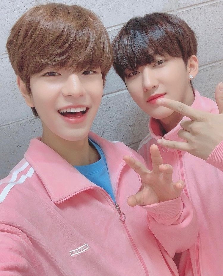straykids スンミン チャンビン ナシフィック アクスタ クルモンズ straykids クルモンズ チャンビン スンミン ユニットトレカ