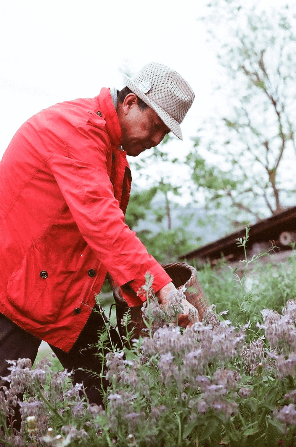 京都の名料理人が綴る、食と自然への讃歌！ 中東久雄『自然を喰む 草喰