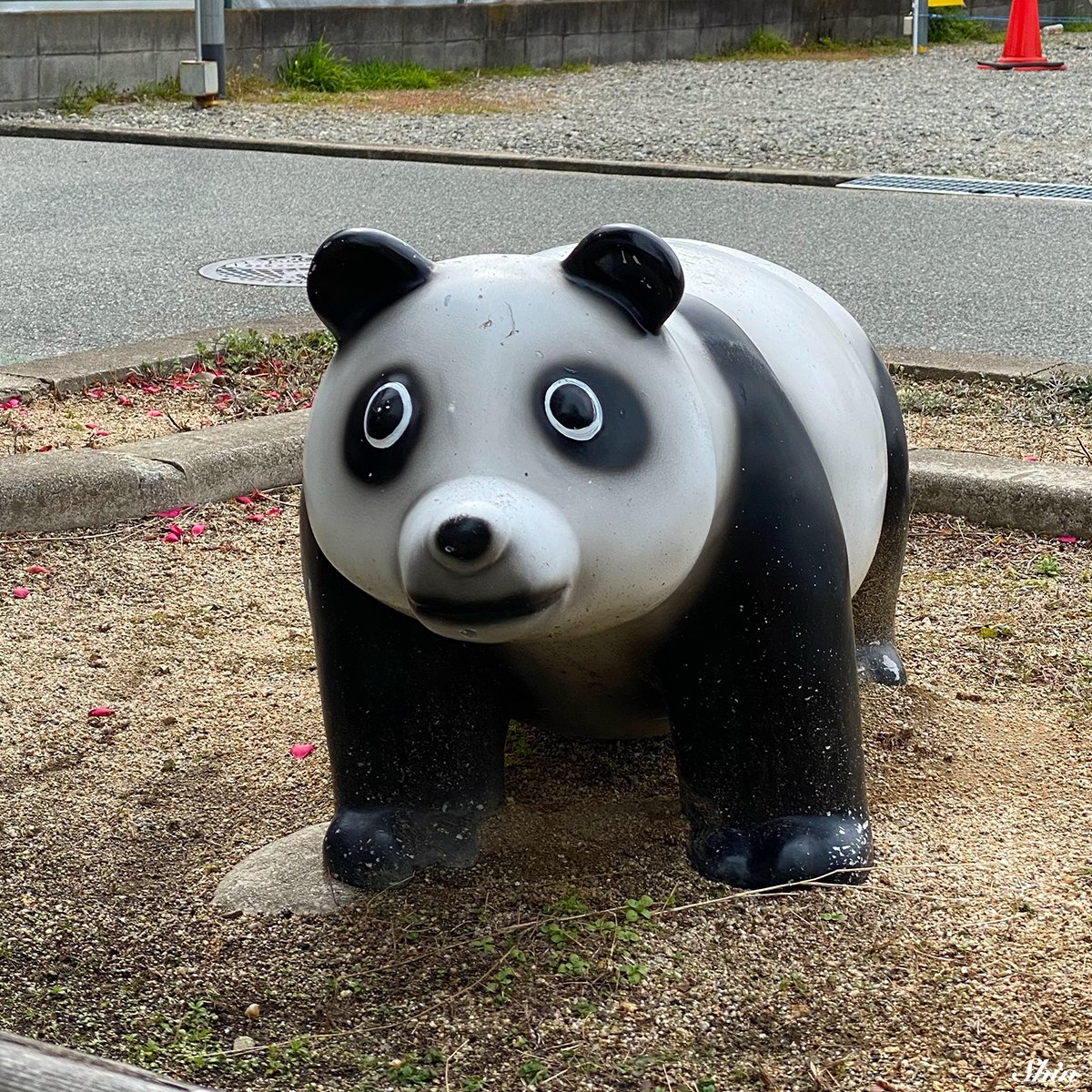 公園のパンダ Shin Note