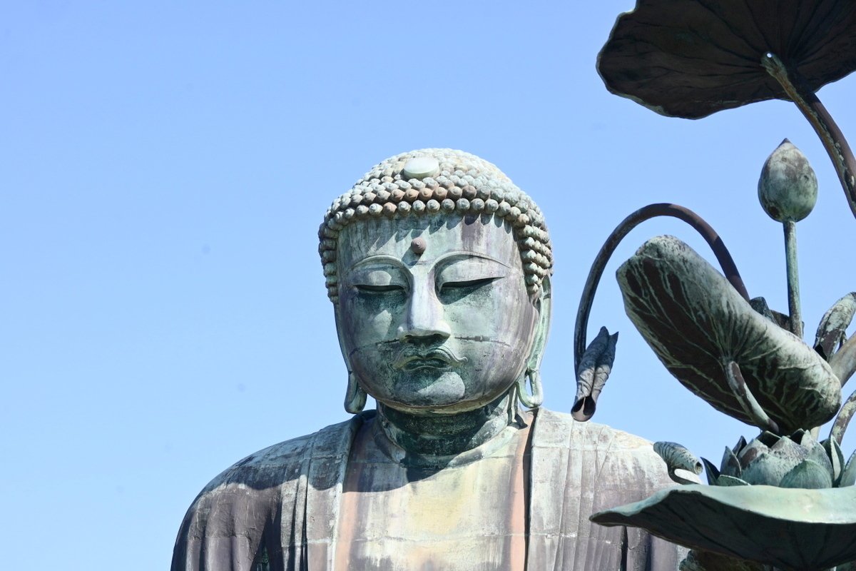 鎌倉大仏 - （神奈川県）の詳細情報 ｜ ことりっぷ