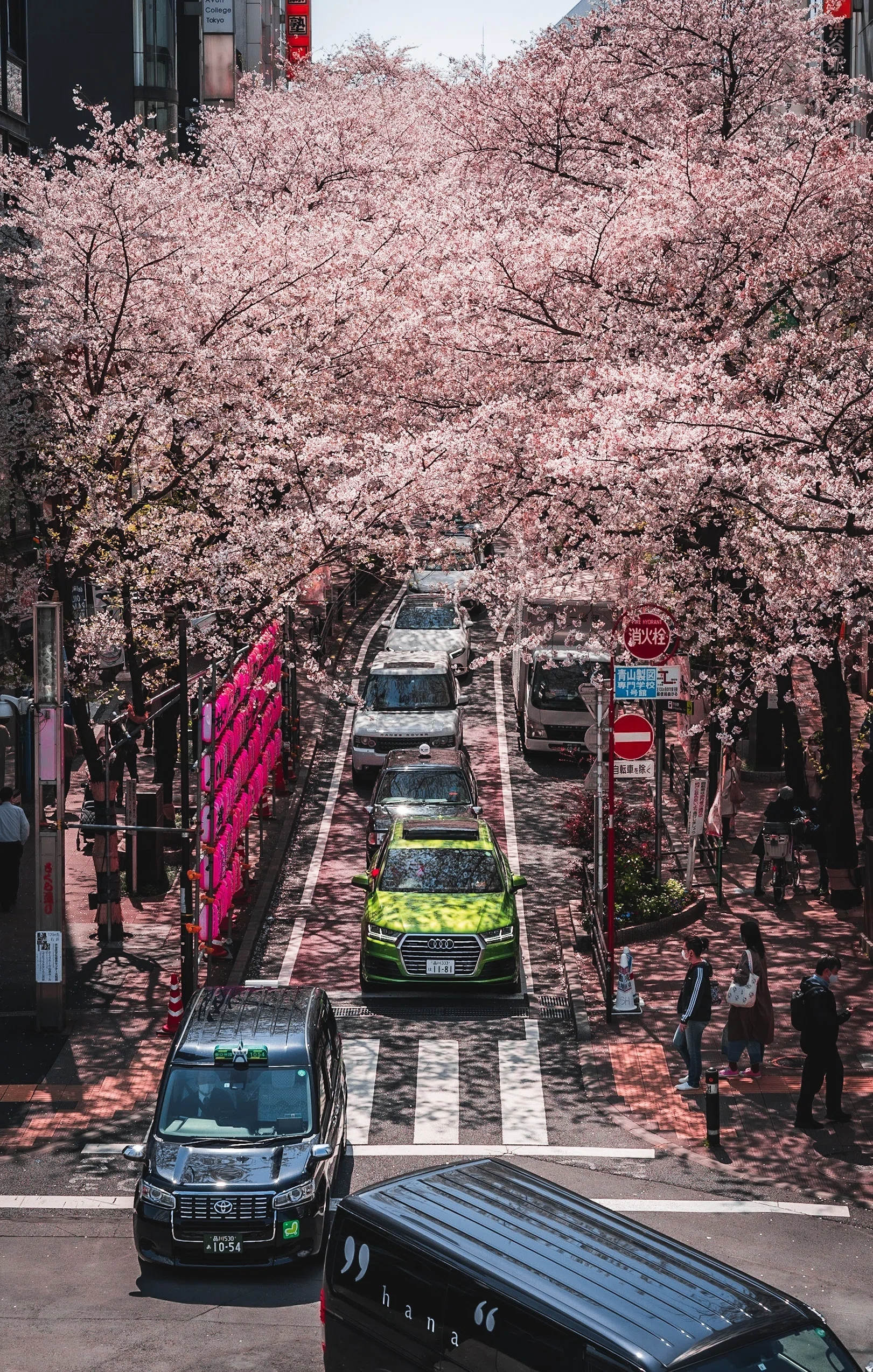 お花見の準備をしよう 桜スポット5選｜ebi_times | 撮って、考えて、書く人